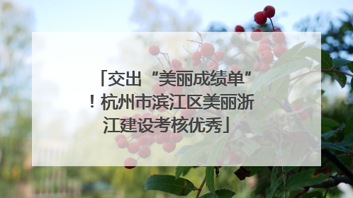 交出“美丽成绩单”！杭州市滨江区美丽浙江建设考核优秀