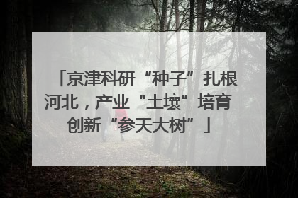 京津科研“种子”扎根河北，产业“土壤”培育创新“参天大树”