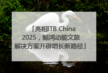 亮相ITB China 2025，鲸鸿动能文旅解决方案开辟增长新路径