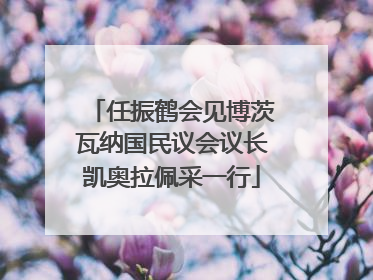 任振鹤会见博茨瓦纳国民议会议长凯奥拉佩采一行