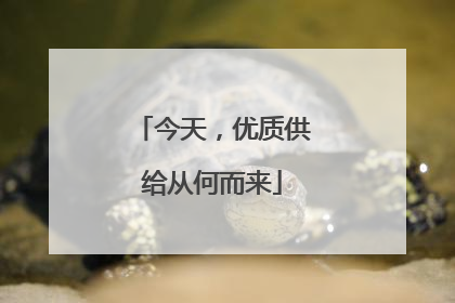 今天，优质供给从何而来