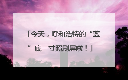 今天，呼和浩特的“蓝”底一寸照刷屏啦！