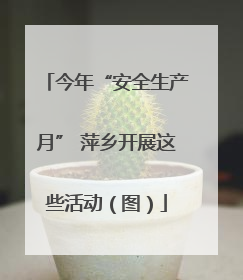 今年“安全生产月” 萍乡开展这些活动（图）