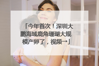 今年首次！深圳大鹏海域鹿角珊瑚大规模产卵了，视频→