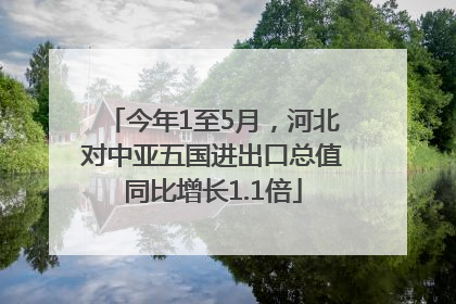 今年1至5月，河北对中亚五国进出口总值同比增长1.1倍