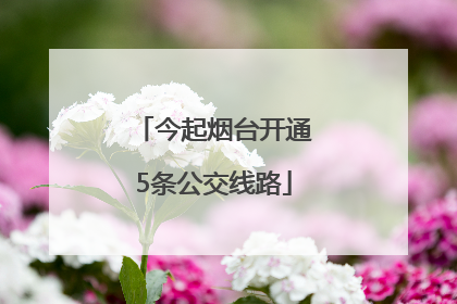 今起烟台开通5条公交线路