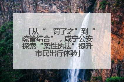 从“一罚了之”到“疏管结合”，咸宁公安探索“柔性执法”提升市民出行体验