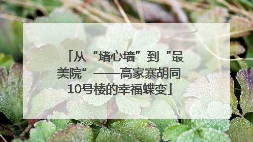 从“堵心墙”到“最美院”——高家寨胡同10号楼的幸福蝶变