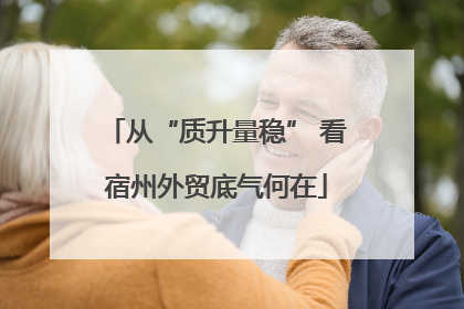 从“质升量稳” 看宿州外贸底气何在