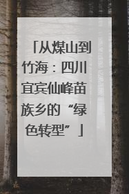 从煤山到竹海：四川宜宾仙峰苗族乡的“绿色转型”