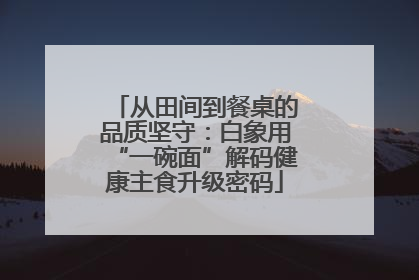 从田间到餐桌的品质坚守：白象用“一碗面”解码健康主食升级密码