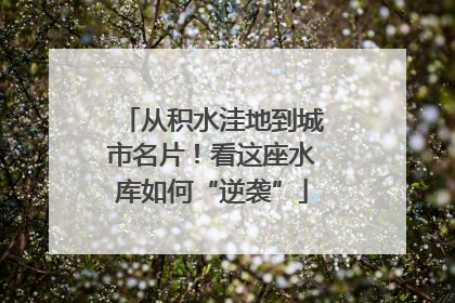 从积水洼地到城市名片！看这座水库如何“逆袭”