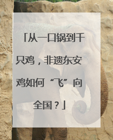 从一口锅到千只鸡，非遗东安鸡如何“飞”向全国？