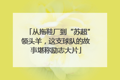 从拖鞋厂到“苏超”领头羊，这支球队的故事堪称励志大片