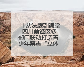 从法庭到课堂 四川前锋区多部门联动打造青少年禁毒“立体防线”