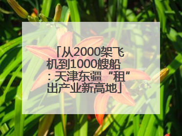 从2000架飞机到1000艘船：天津东疆“租”出产业新高地