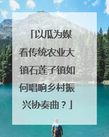 以瓜为媒 看传统农业大镇石莲子镇如何唱响乡村振兴协奏曲？