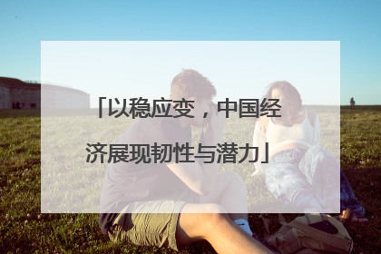 以稳应变，中国经济展现韧性与潜力