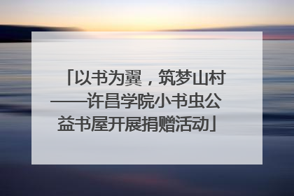 以书为翼，筑梦山村——许昌学院小书虫公益书屋开展捐赠活动