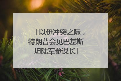 以伊冲突之际，特朗普会见巴基斯坦陆军参谋长