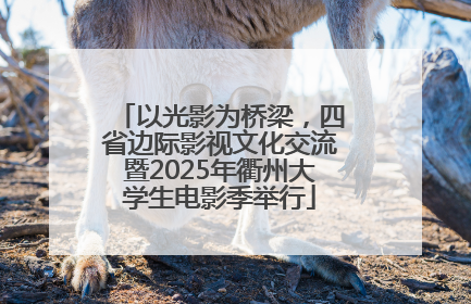 以光影为桥梁，四省边际影视文化交流暨2025年衢州大学生电影季举行