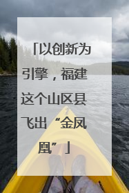 以创新为引擎，福建这个山区县飞出“金凤凰”