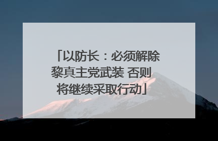 以防长：必须解除黎真主党武装 否则将继续采取行动