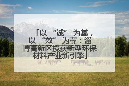 以 “诚” 为基，以 “效” 为翼：淄博高新区揽获新型环保材料产业新引擎