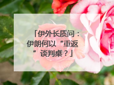 伊外长质问：伊朗何以“重返”谈判桌？