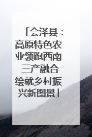 会泽县：高原特色农业领跑西南 三产融合绘就乡村振兴新图景