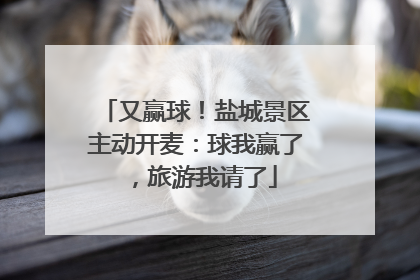 又赢球！盐城景区主动开麦：球我赢了，旅游我请了