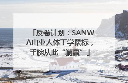 反卷计划：SANWA山业人体工学鼠标，手腕从此“躺赢”