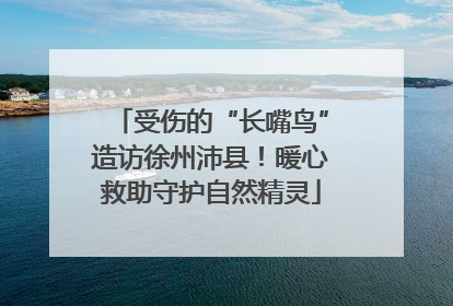受伤的“长嘴鸟”造访徐州沛县！暖心救助守护自然精灵