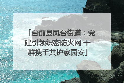 台前县凤台街道：党建引领织密防火网 干群携手共护家园安