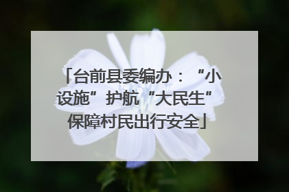 台前县委编办：“小设施”护航“大民生” 保障村民出行安全