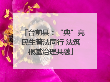 台前县：“典”亮民生普法同行 法筑根基治理共融