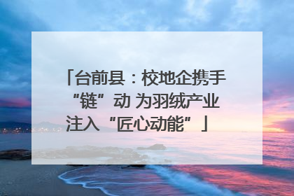 台前县：校地企携手“链”动 为羽绒产业注入“匠心动能”