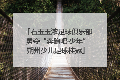 右玉玉浓足球俱乐部勇夺“奔跑吧·少年”朔州少儿足球桂冠