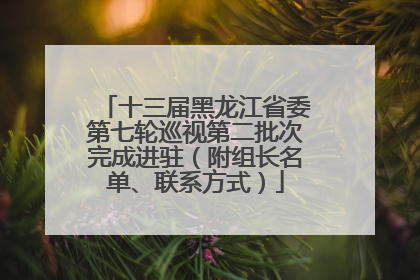 十三届黑龙江省委第七轮巡视第二批次完成进驻（附组长名单、联系方式）