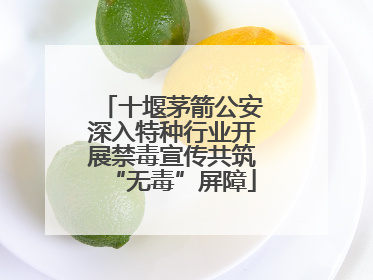十堰茅箭公安深入特种行业开展禁毒宣传共筑“无毒”屏障