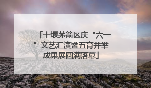 十堰茅箭区庆“六一”文艺汇演暨五育并举成果展圆满落幕