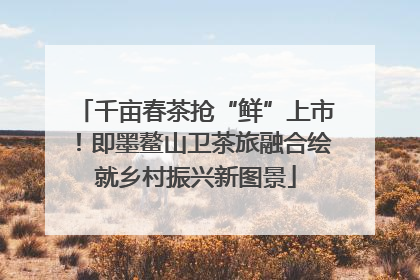 千亩春茶抢“鲜”上市！即墨鳌山卫茶旅融合绘就乡村振兴新图景