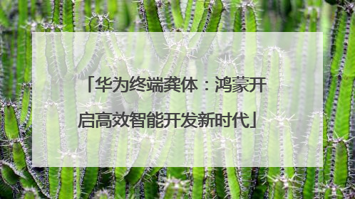 华为终端龚体：鸿蒙开启高效智能开发新时代