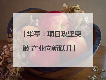 华亭：项目攻坚突破 产业向新跃升