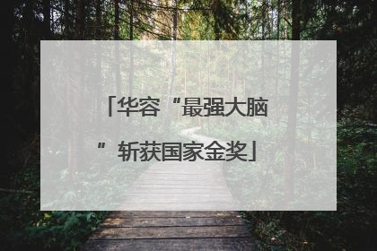 华容“最强大脑”斩获国家金奖
