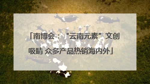 南博会：“云南元素”文创吸睛 众多产品热销海内外