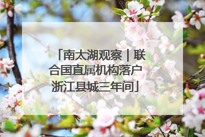 南太湖观察｜联合国直属机构落户浙江县城三年间