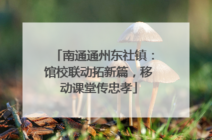 南通通州东社镇：馆校联动拓新篇，移动课堂传忠孝