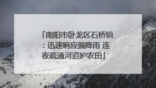 南阳市卧龙区石桥镇：迅速响应强降雨 连夜疏通河道护农田