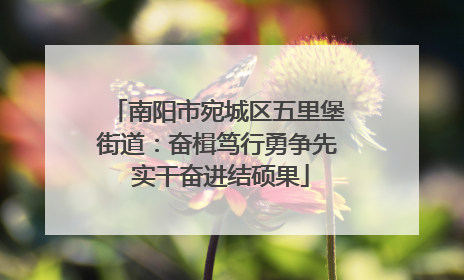 南阳市宛城区五里堡街道：奋楫笃行勇争先 实干奋进结硕果